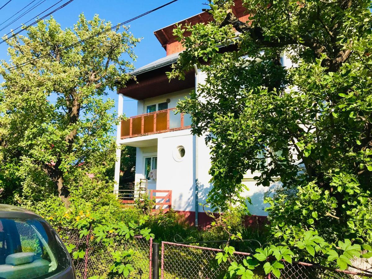 Apartament Vica กูรา ฮูมอรูลุย ภายนอก รูปภาพ