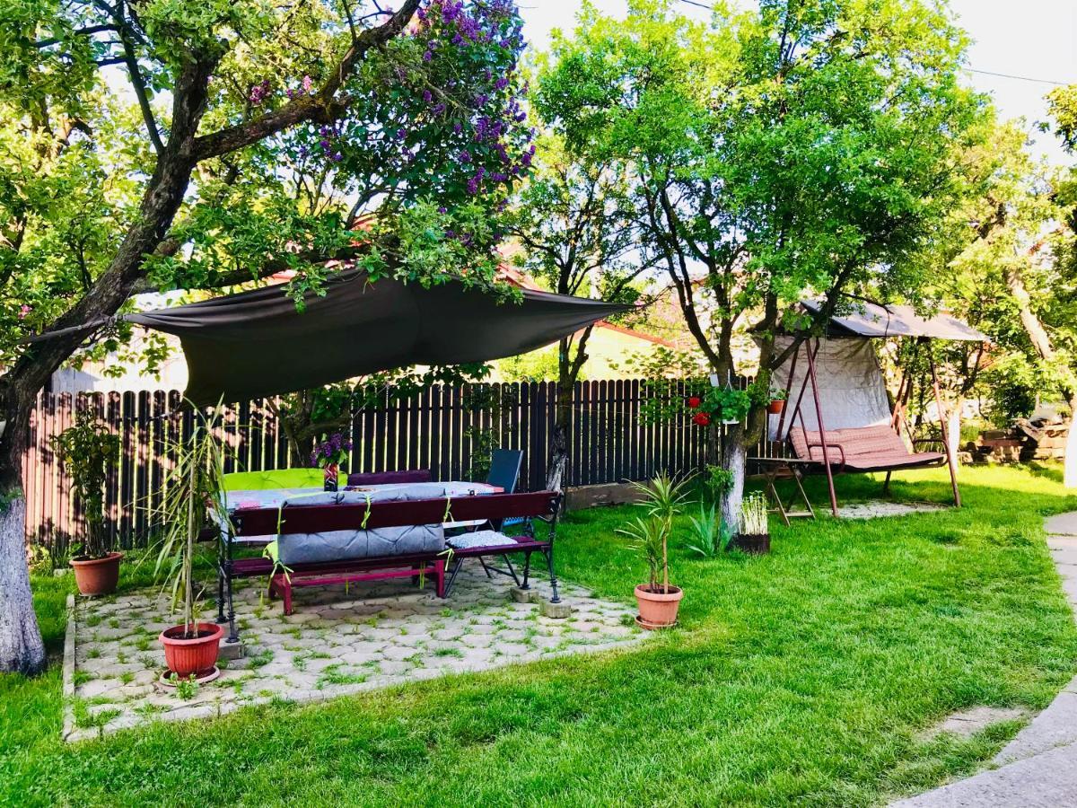 Apartament Vica กูรา ฮูมอรูลุย ภายนอก รูปภาพ